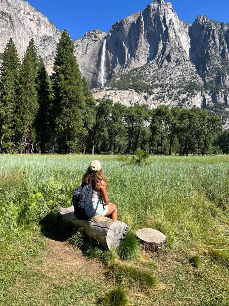 one day in yosemite park
